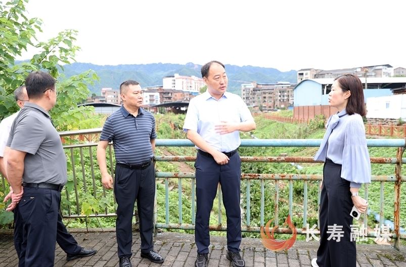 区领导检查督导防汛救灾工作