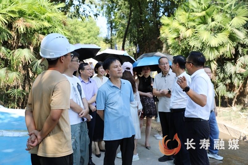 区政协民主评议区文旅委工作