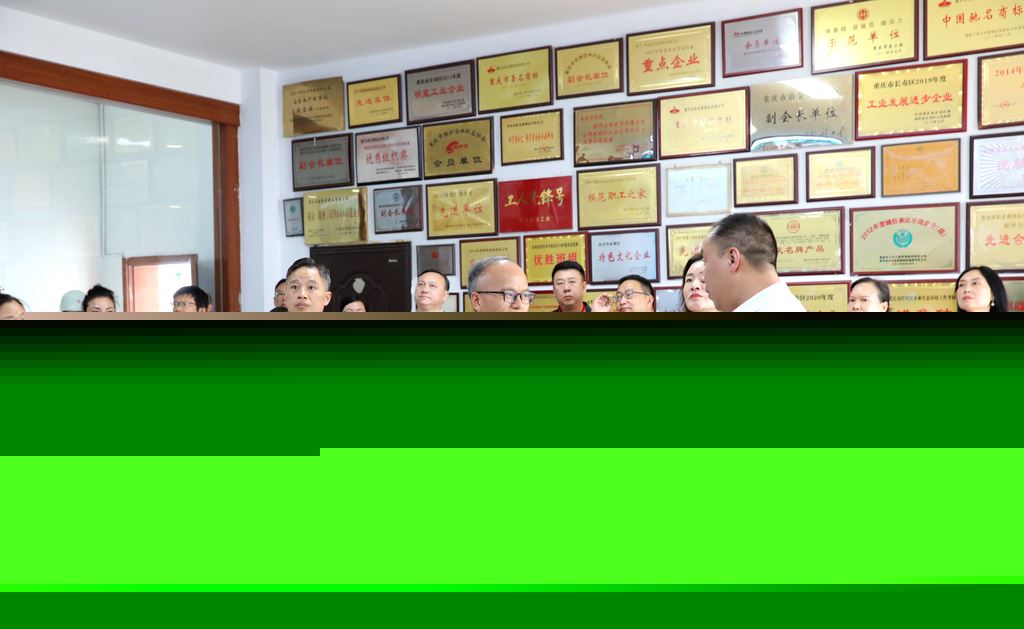 区政协民主评议区生态环境局工作