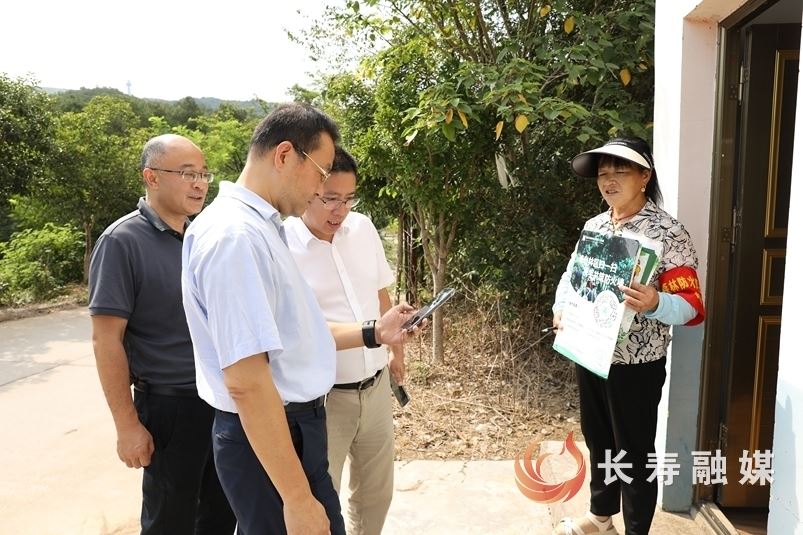 区领导检查森林防火工作