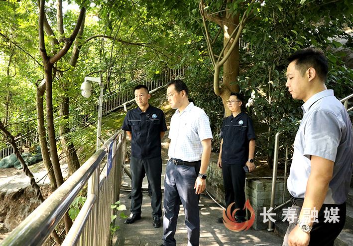 区领导调研城市供水工作