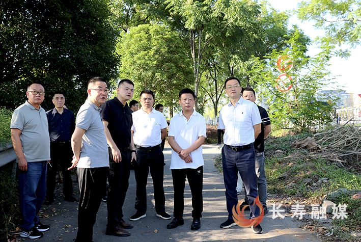 王身高调研城中村改造项目时提出：高效有力推进城中村改造 提升城市品质增进民生福祉