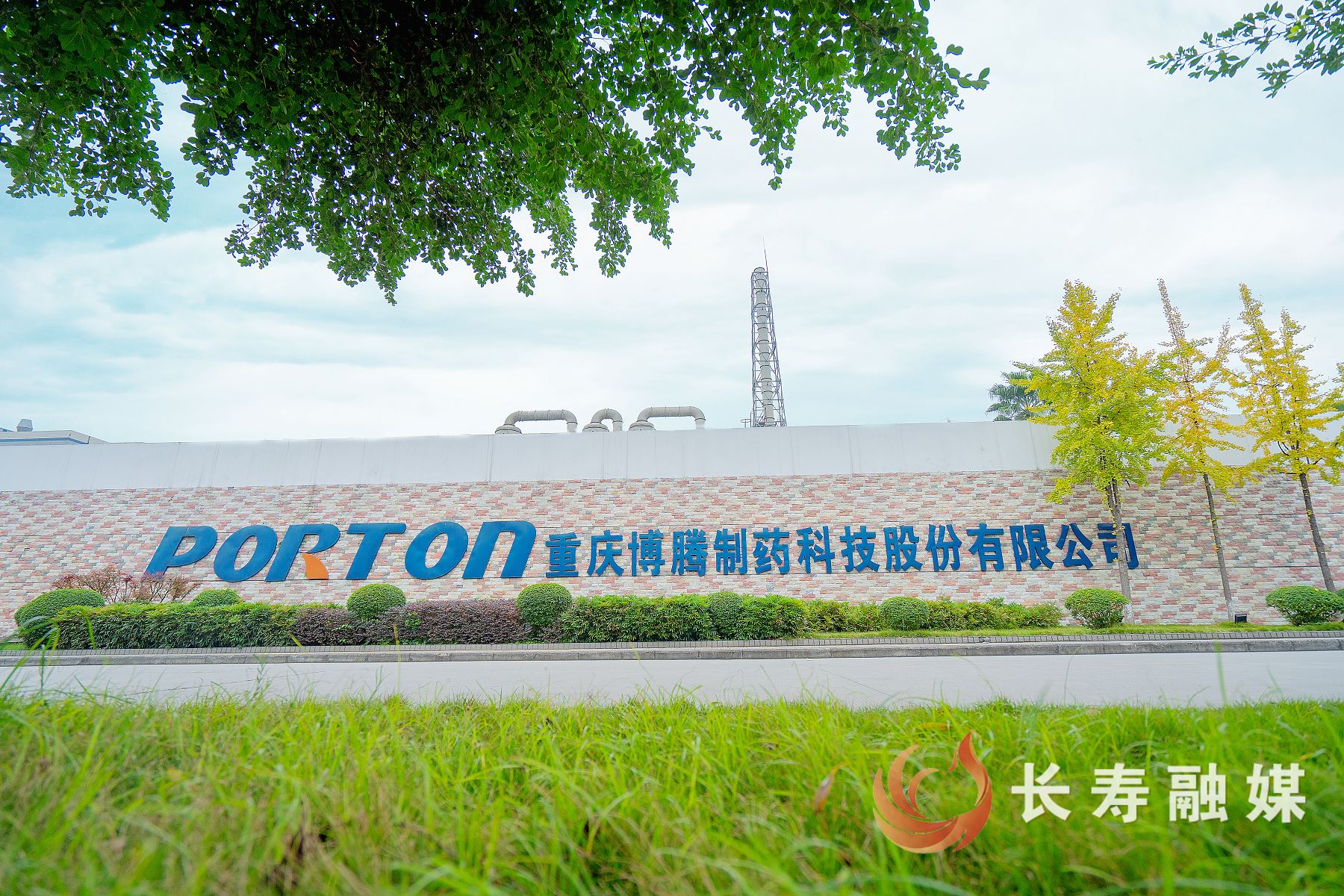 博腾制药获市级知识产权风险预测预警项目支持