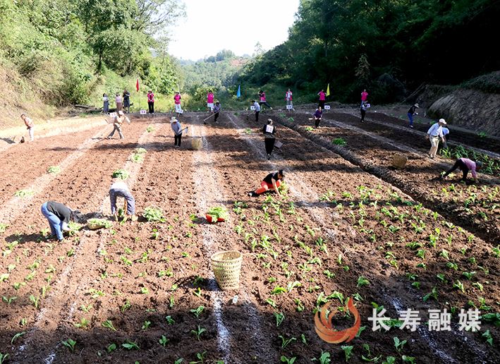 农村妇女“双学双比”技能竞赛助力乡村振兴