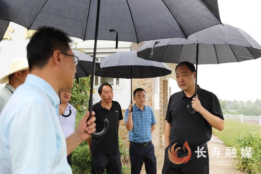 区领导带队开展巡河并督导水系提升项目建设工作