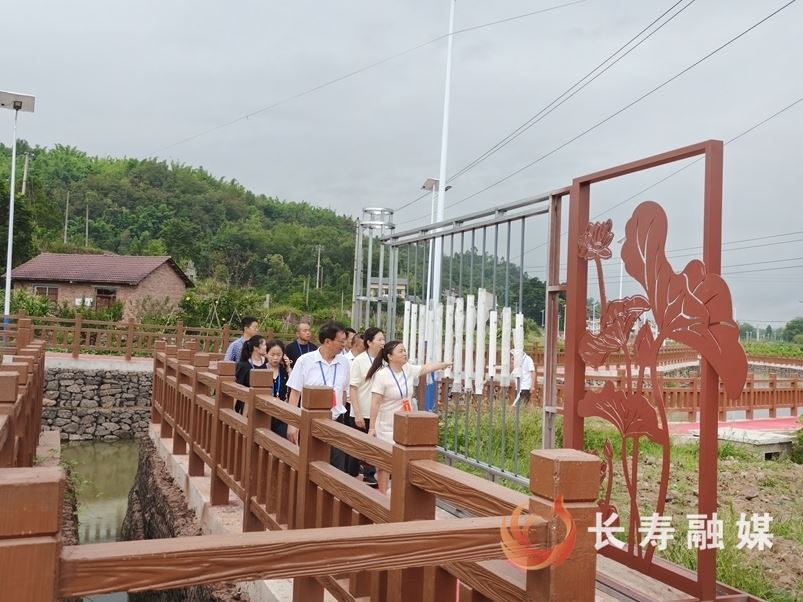 跟踪问效！葛兰镇两工程接受人大代表“检阅”