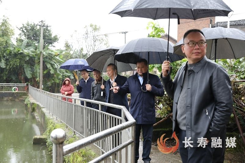 区领导调研市级生态环境保护例行督察转办案件办理情况