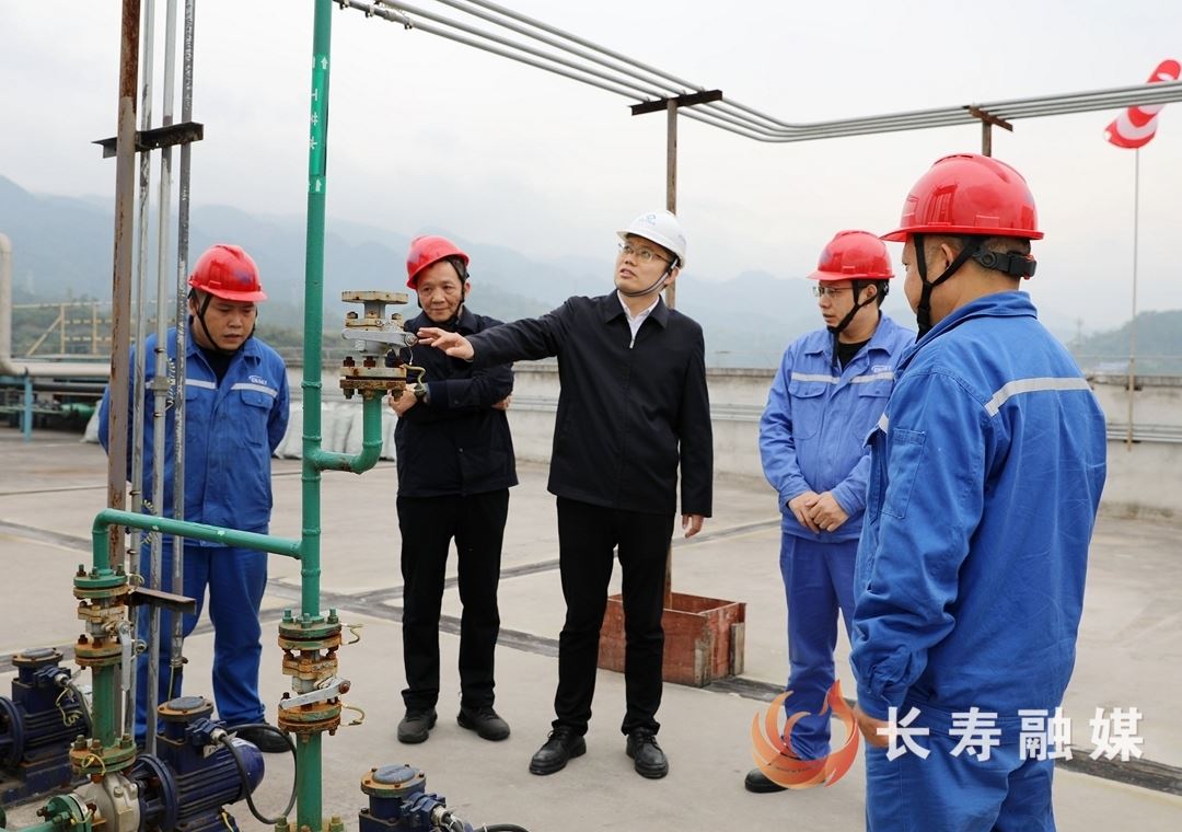 区领导调研生态环境保护督察整改工作推进情况时指出：压实责任破解难题 实现生态与发展协同共进