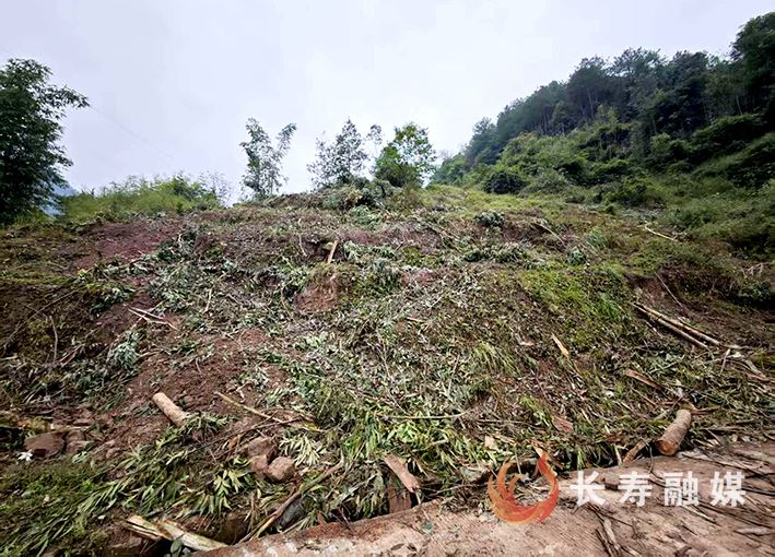 【我为群众办实事】小事不小视！驻村书记现场调解树苗赔偿纠纷