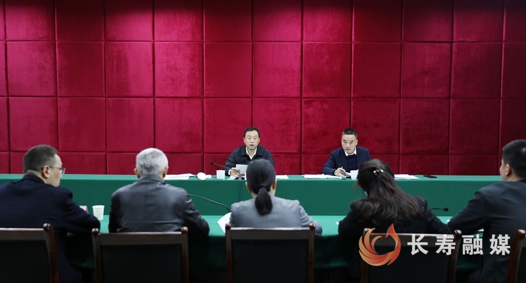 区城市治理委员会办公室主任调度会召开