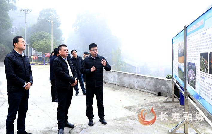 市林业局调研组来长调研“三兴”行动推进情况