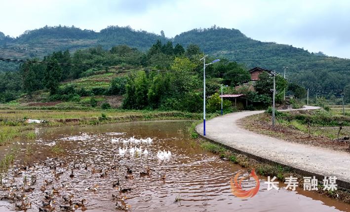 王傅明：从赤脚“棒棒军”到点亮山乡的“点灯人”