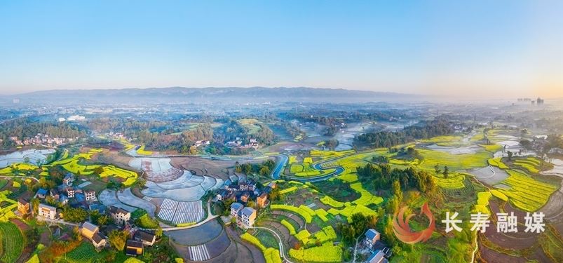 织密交通脉络 赋能发展征途——区交通运输委员会2025年工作综述