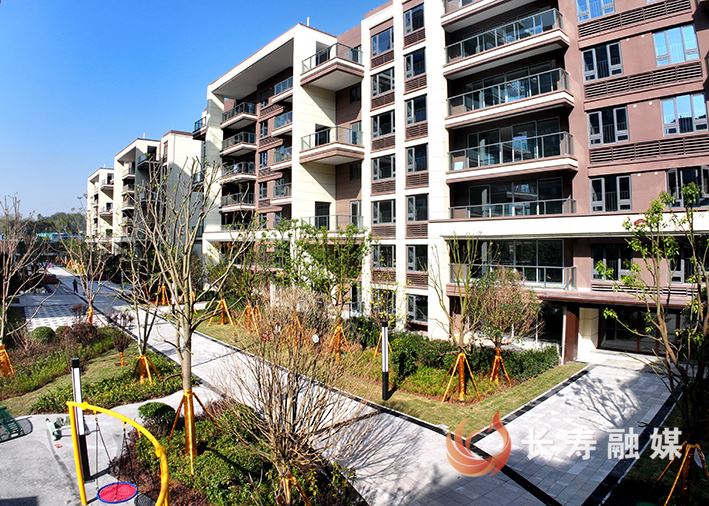  文和公司：匠心筑城 担当筑魂 书写城市发展温暖答卷