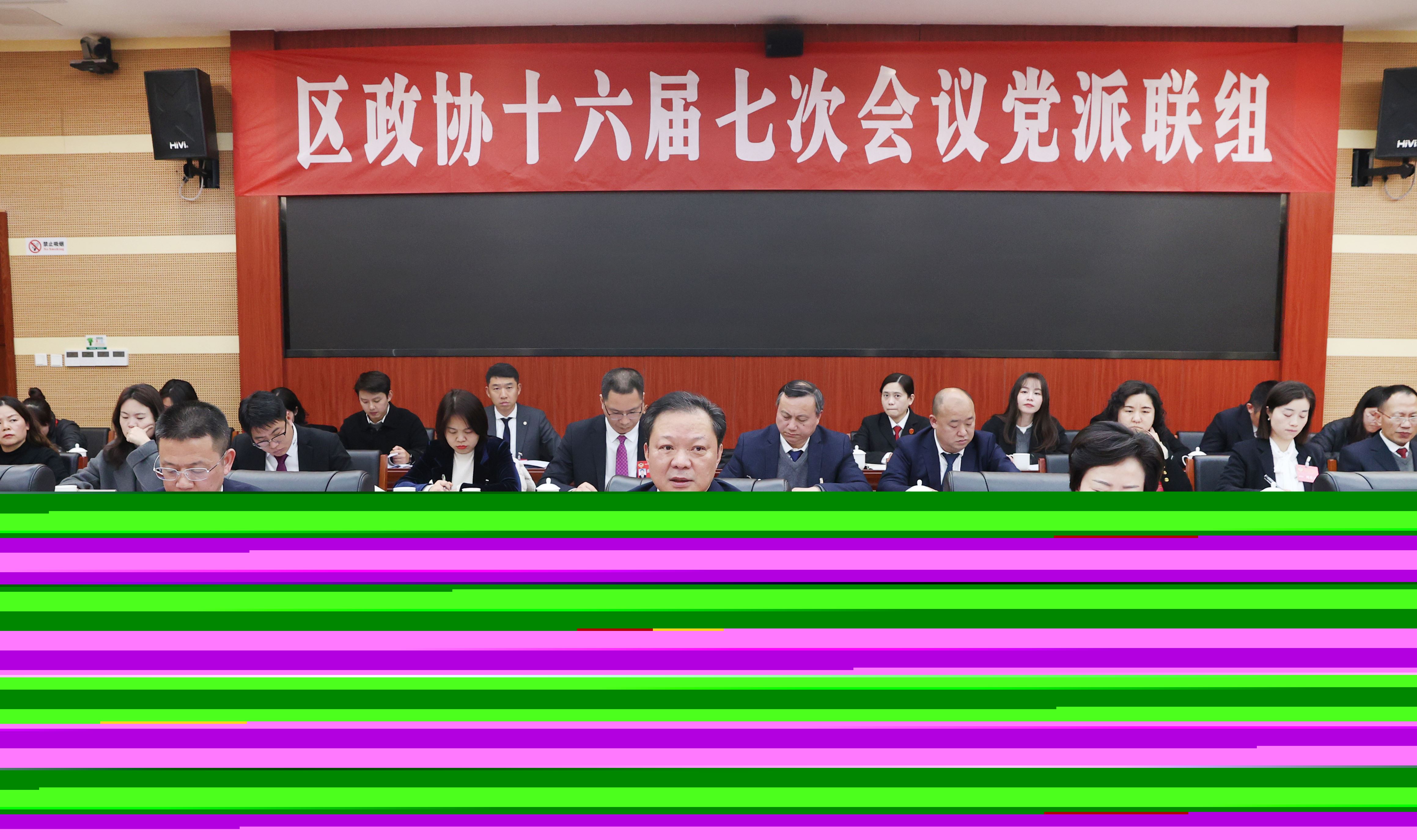 江夏参加区政协十六届七次会议分组讨论时强调：发挥好带头带动作用 推动“十五五”开好局起好步