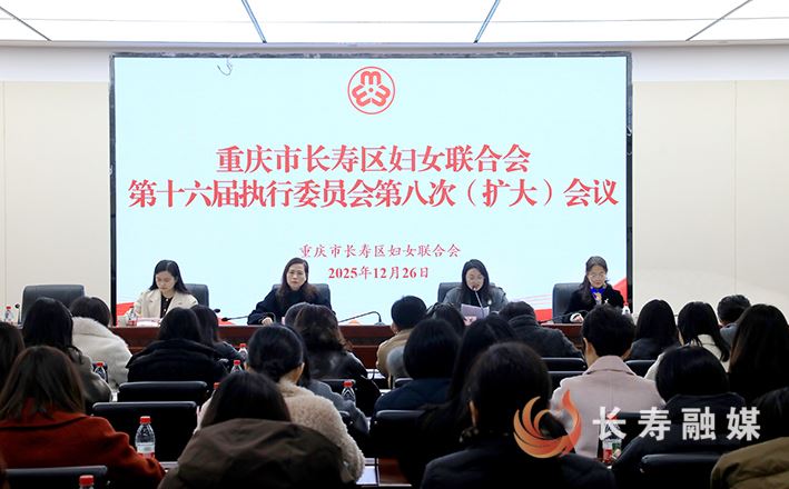 区妇联召开第十六届执委会第八次（扩大）会议