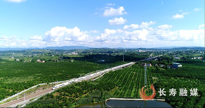 深耕沃野绘“丰”景 “农”墨重彩促振兴——长寿乡村建设集团2025年工作综述