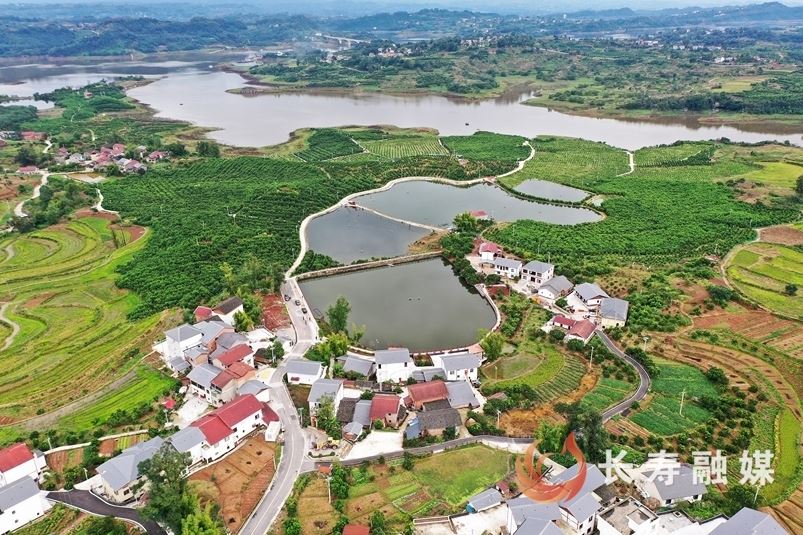 石堰镇：风劲帆满破浪行 山河起舞踏征程