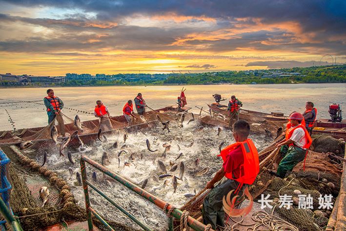 【委员提案办理追踪】立足特色农业产业 做实“自然长寿”品牌