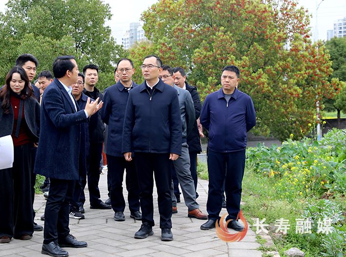 李茂涛带队踏勘“四类土地”盘活利用工作时强调：持续深化国资国企改革 加快盘活存量资产资源